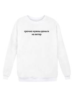 Прикольный свитшот с надписью "Срочно нужны деньги на ветер"
